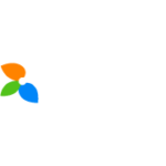 IDP-logo (1)